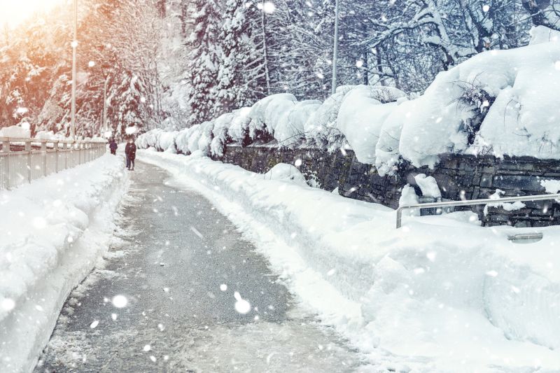 Snow-Covered Landscaping